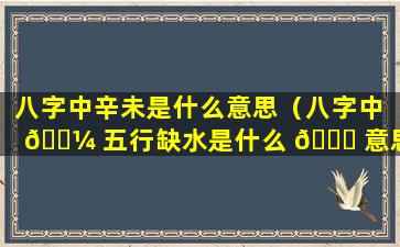 八字中辛未是什么意思（八字中 🌼 五行缺水是什么 🐛 意思）